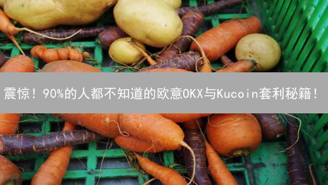 震惊！90%的人都不知道的欧意OKX与Kucoin套利秘籍！