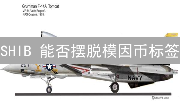 SHIB 能否摆脱模因币标签？2024 生态升级深度解析！