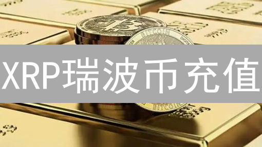 XRP瑞波币充值：新手避坑指南，像搭积木一样简单！